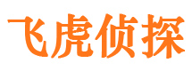 鹤山市私家侦探公司